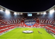 开云体育官网-从红土到硬地，蒂姆的进化论—ATP总决赛完胜法网，一场高光背后的战术革命